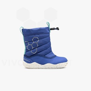 Vivobarefoot Lumi X Arctic Angels Kleuter Schoenen Kinderen Blauw | NL422GY