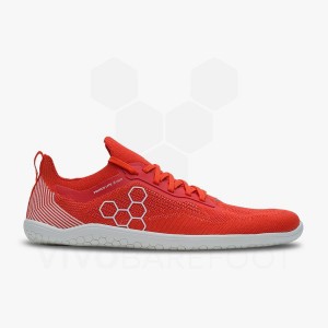 Vivobarefoot Primus Lite Knit Road Hardloopschoenen Dames Rood | NL225VJ