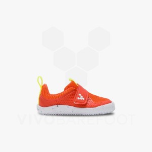 Vivobarefoot Primus Sport III Kleuter Schoenen Kinderen Roze | NL371FU