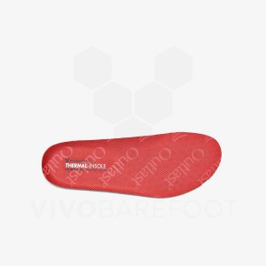 Vivobarefoot Thermal Insole Inlegzolen Kinderen Rood | NL439PV